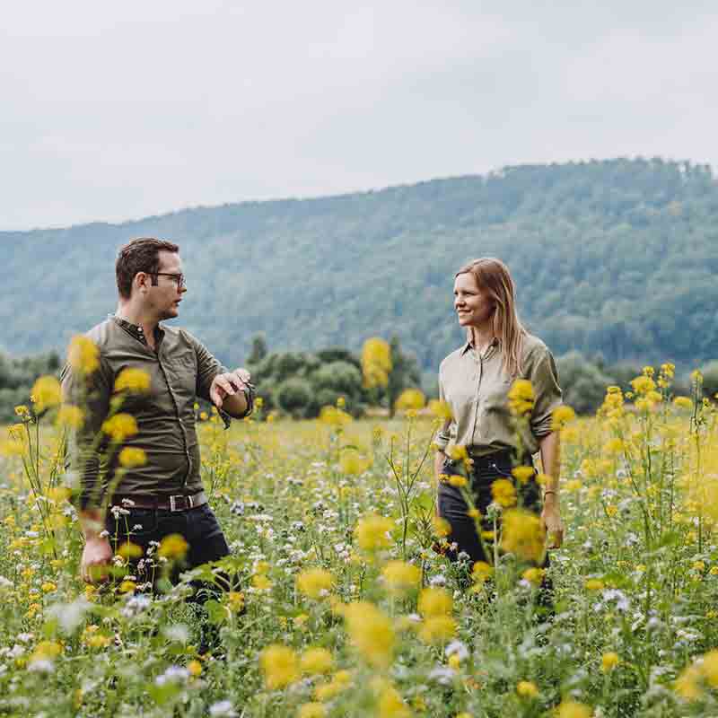 Bio-Mariendistelöl der Ölmühle Solling 100 ml
