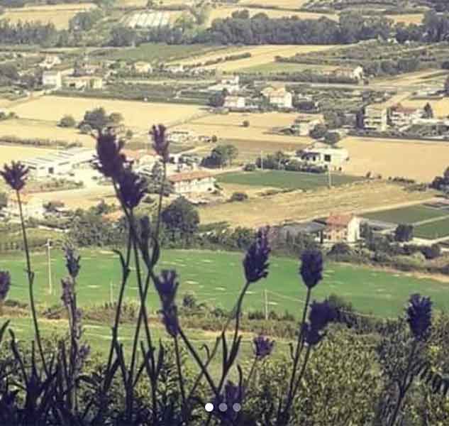 Landschaft mit Feldern und Blumen.