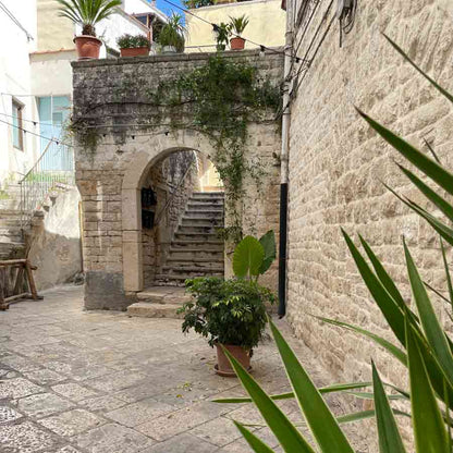 Altstadt mit alten Gebäuden von Binetto. Heimat der Olearia Schiralli