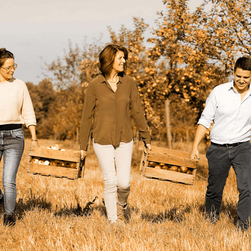 Drei Personen tragen Obstkisten.