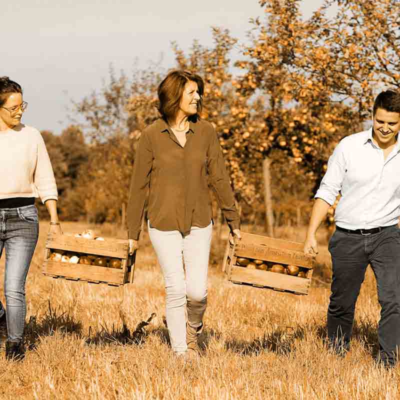 Menschen tragen Obstkisten im Freien.