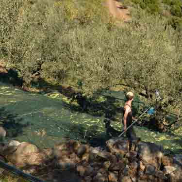 Lakudia natives Olivenöl extra 1 Liter
