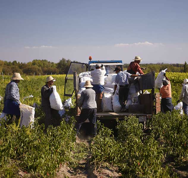 La Chinata - Pimentón de la Vera scharf
