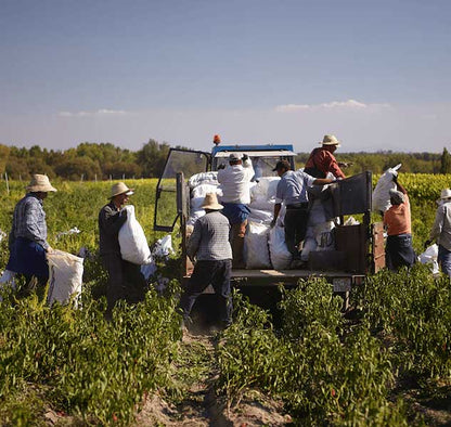 La Chinata - Pimentón de la Vera scharf