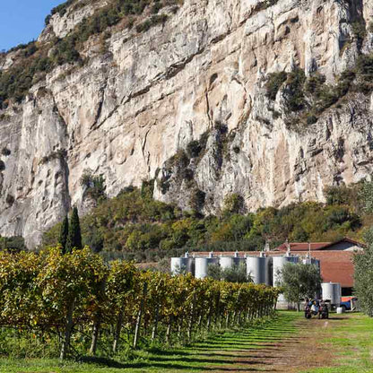 Garda DOP, natives Olivenöl extra 500ml Madonna delle Vittorie