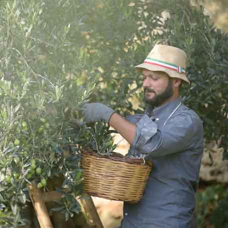 Centoze - Casa di Latomie natives Olivenöl extra DOP Valle del Belice 500 ml Dose