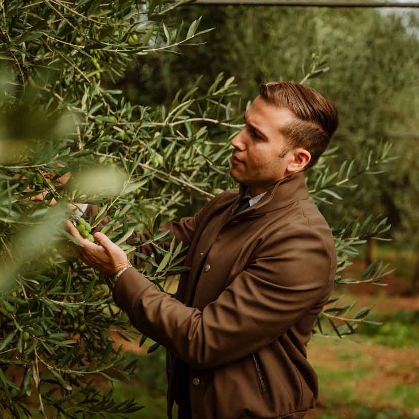 Andrea Amadori bei der Prüfung der Olivenreife im Hain