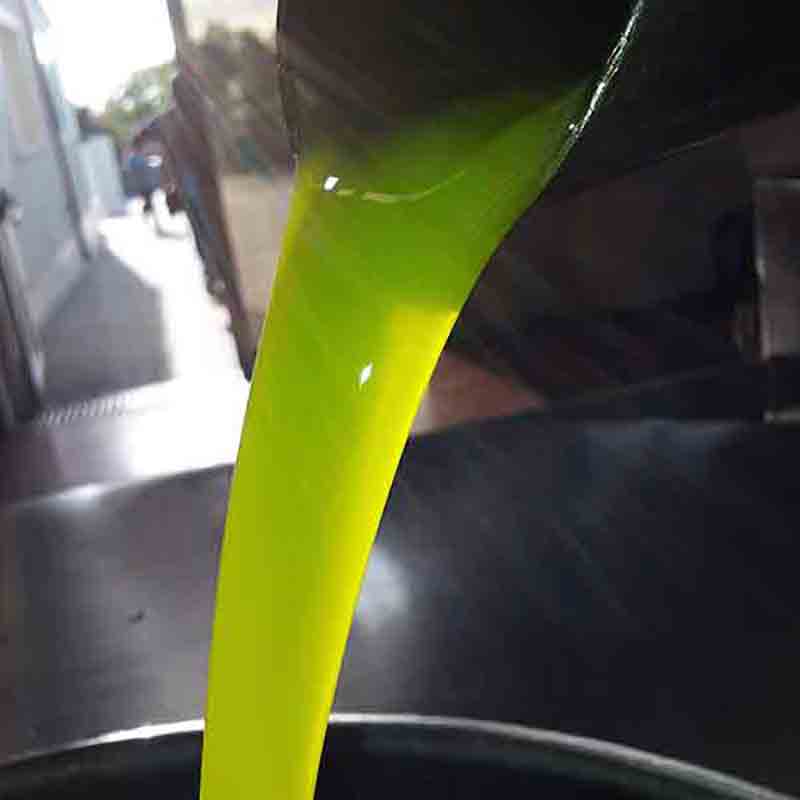 Frisches Olivenöl von Cutrera wird abgefüllt.