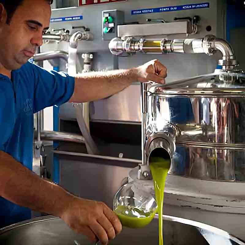 Qualitätskontrolle: Salvatore Cutrera prüft die frische Ernte.