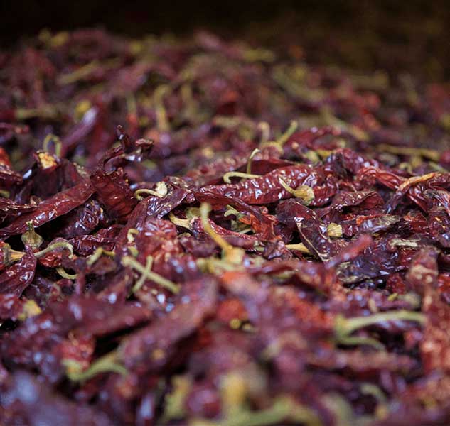 Getrocknete Pimentón-Schoten in Nahaufnahme, rote Paprika.