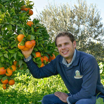 Navel -  BIO Tafelorangen aus Sizilien
