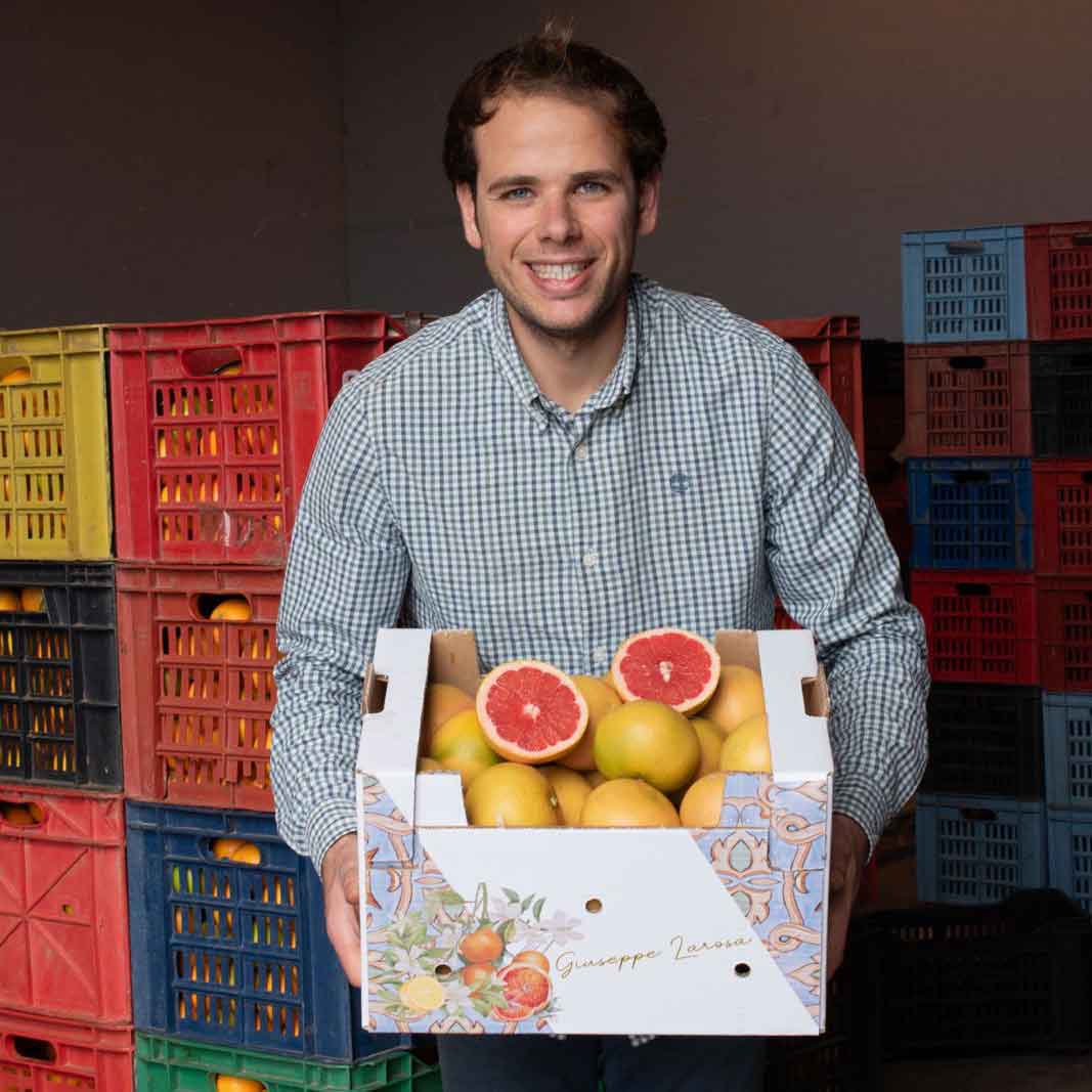 Pink Grapefruit aus Sizilien BIO