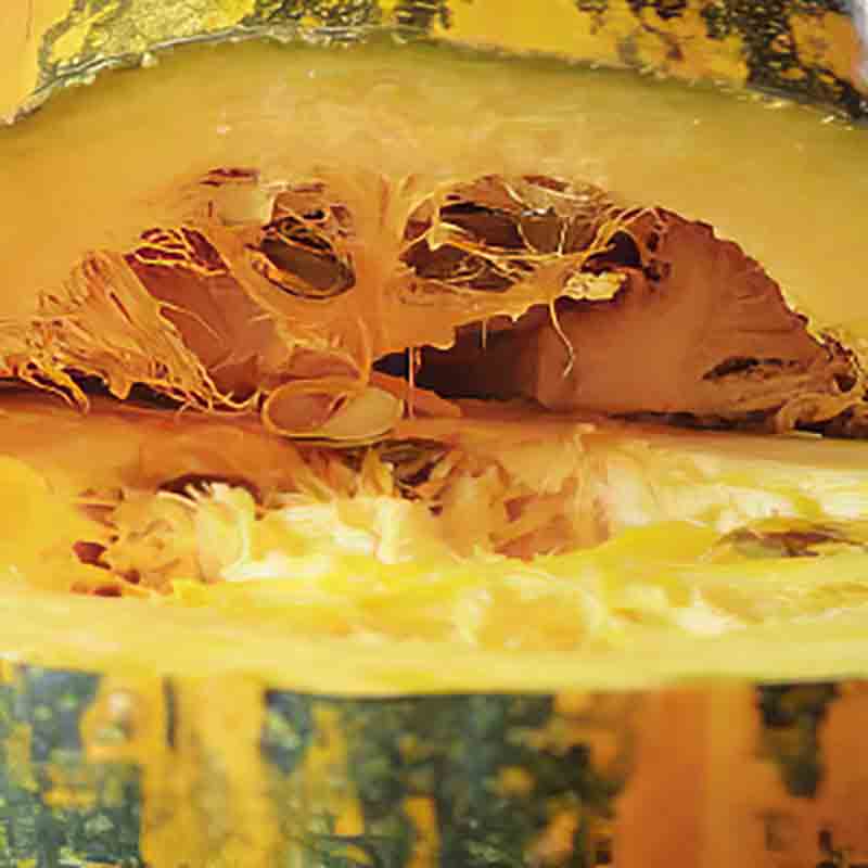 Ein steirischer Kürbis wurde aufgeschnitten.