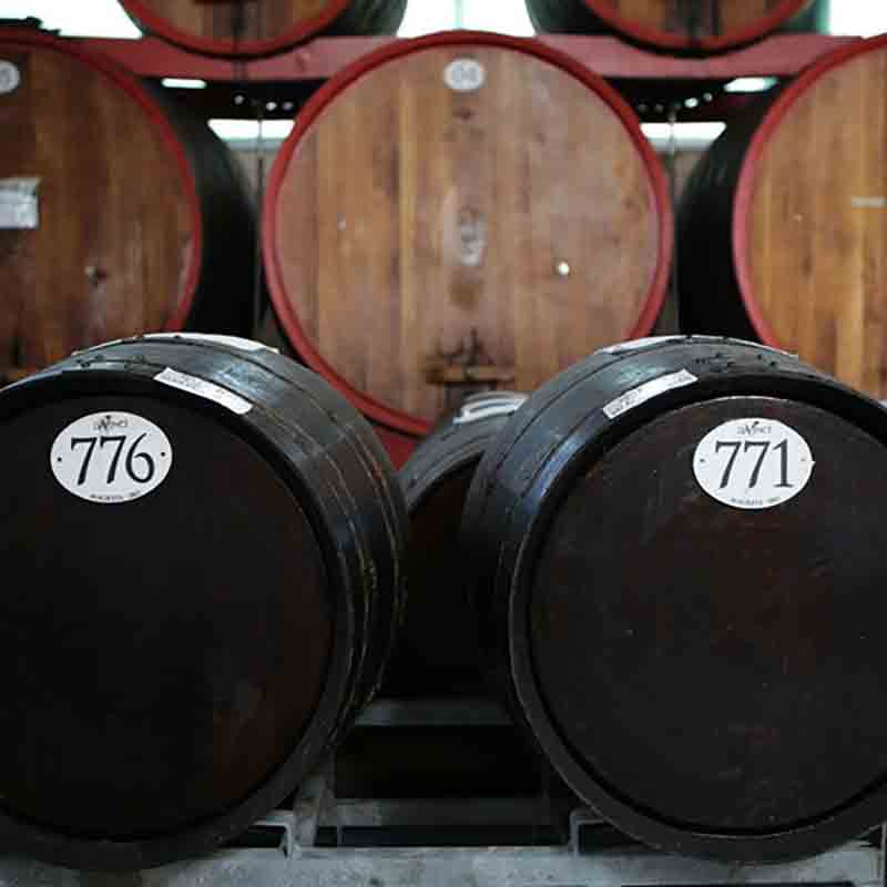 Holzfässer mit Mussini-Essig in Lagerraum.