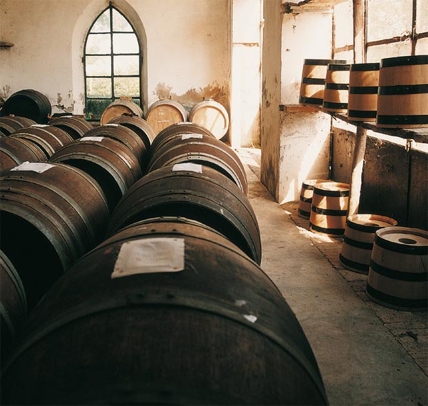 Holzfässer in einem Lagerraum für Essigproduktion.