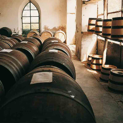 Holzfässer in einem Lagerraum für Essigproduktion.