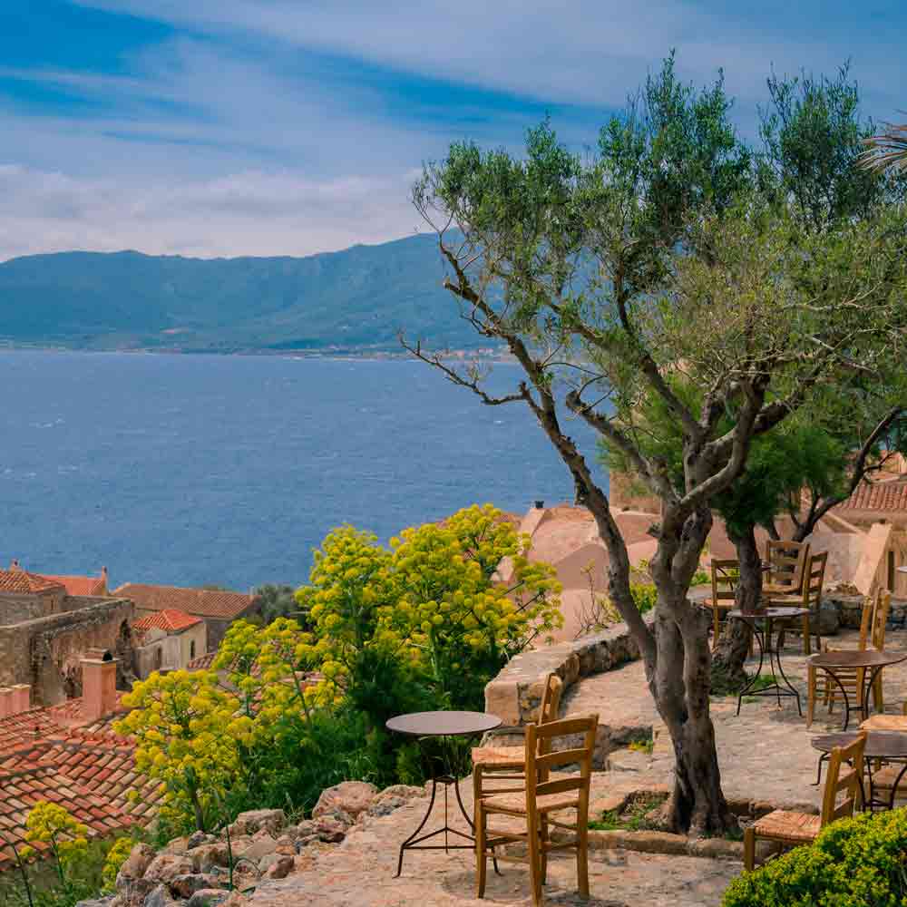 Meerblick mit Olivenbaum und Stühlen.