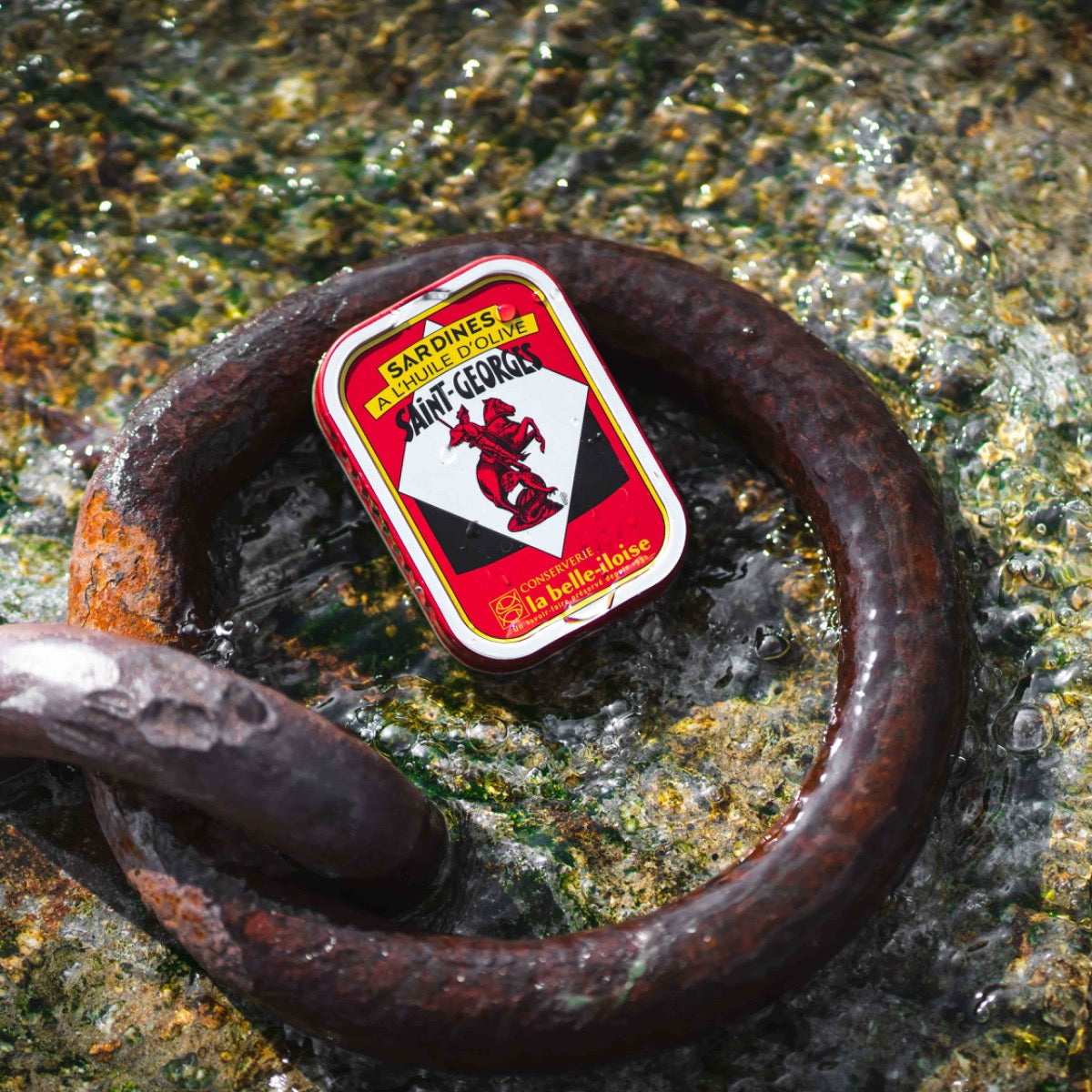 Sardinen-Dose "La Belle-Iloise" im Wasser auf Metallring.