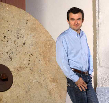 Fallot Senf mit Walnüssen