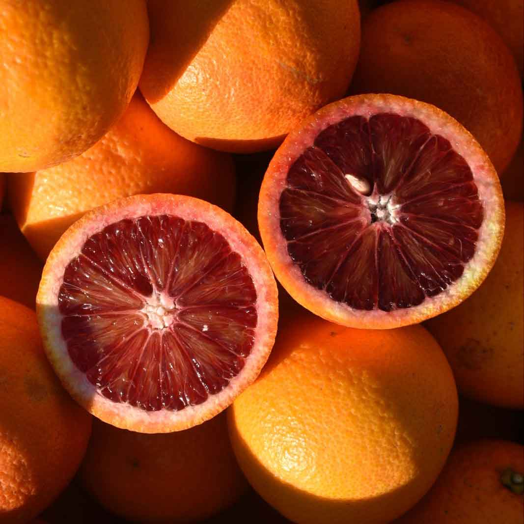 aufgeschnittene Blutorangen aus Sizilien mit Kern