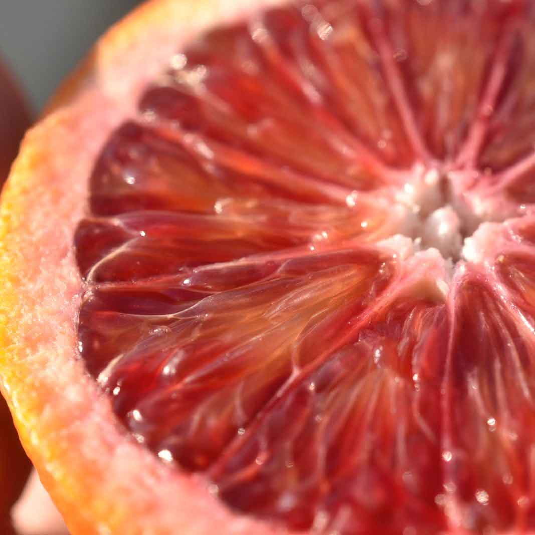 Nahaufnahme von einer aufgeschnittenen saftigen Moro IGP Blutorange