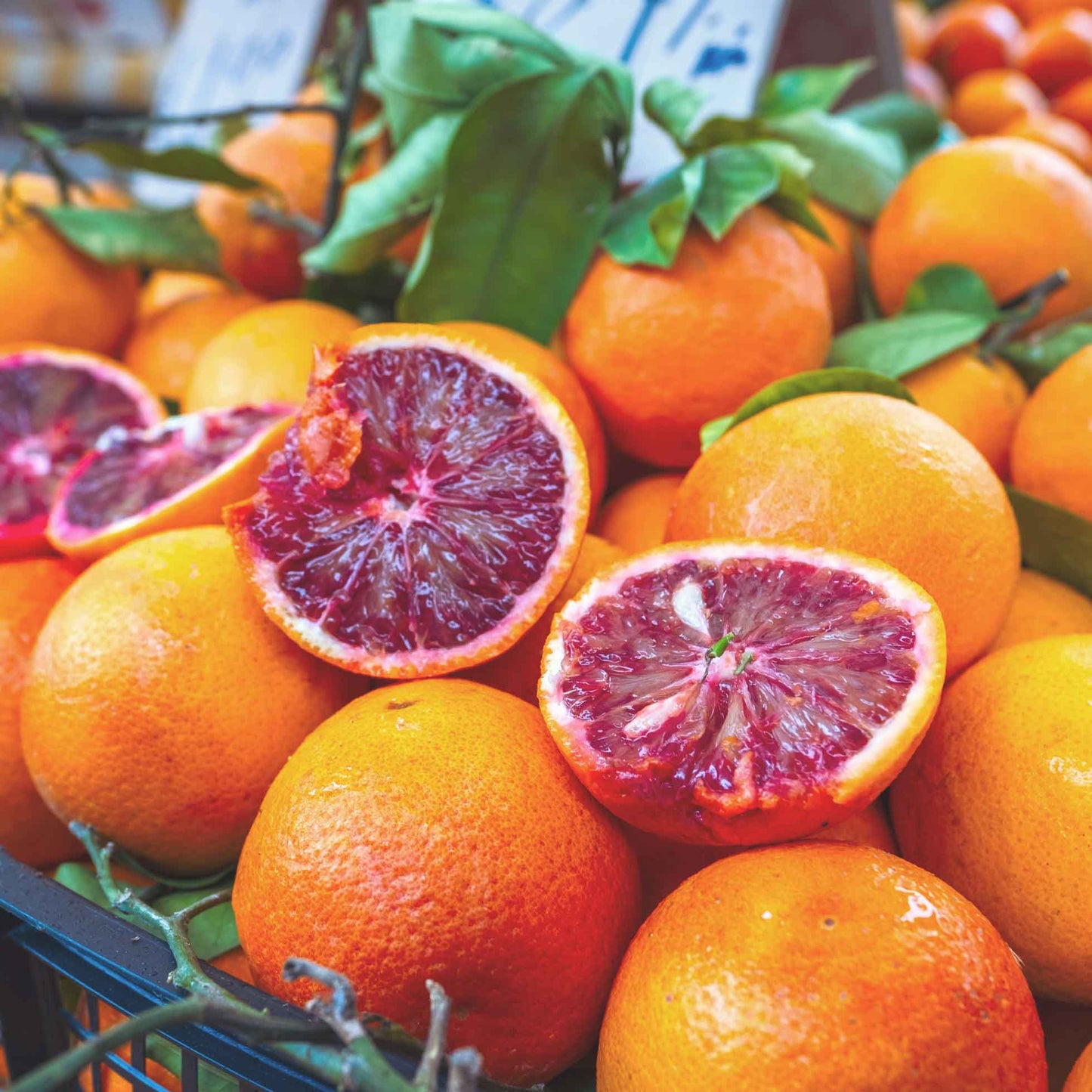 Moro IGP Blutorangen aus Sizilien BIO