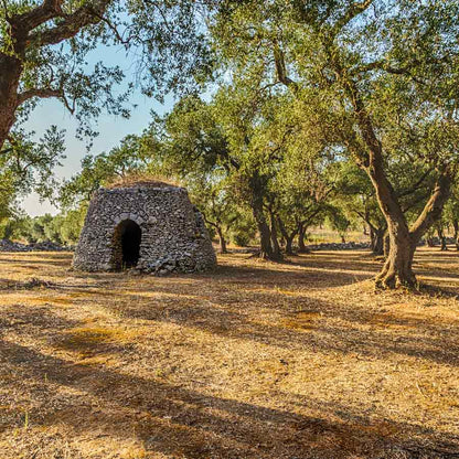 Steinhaus in Olivenhain bei Tageslicht.