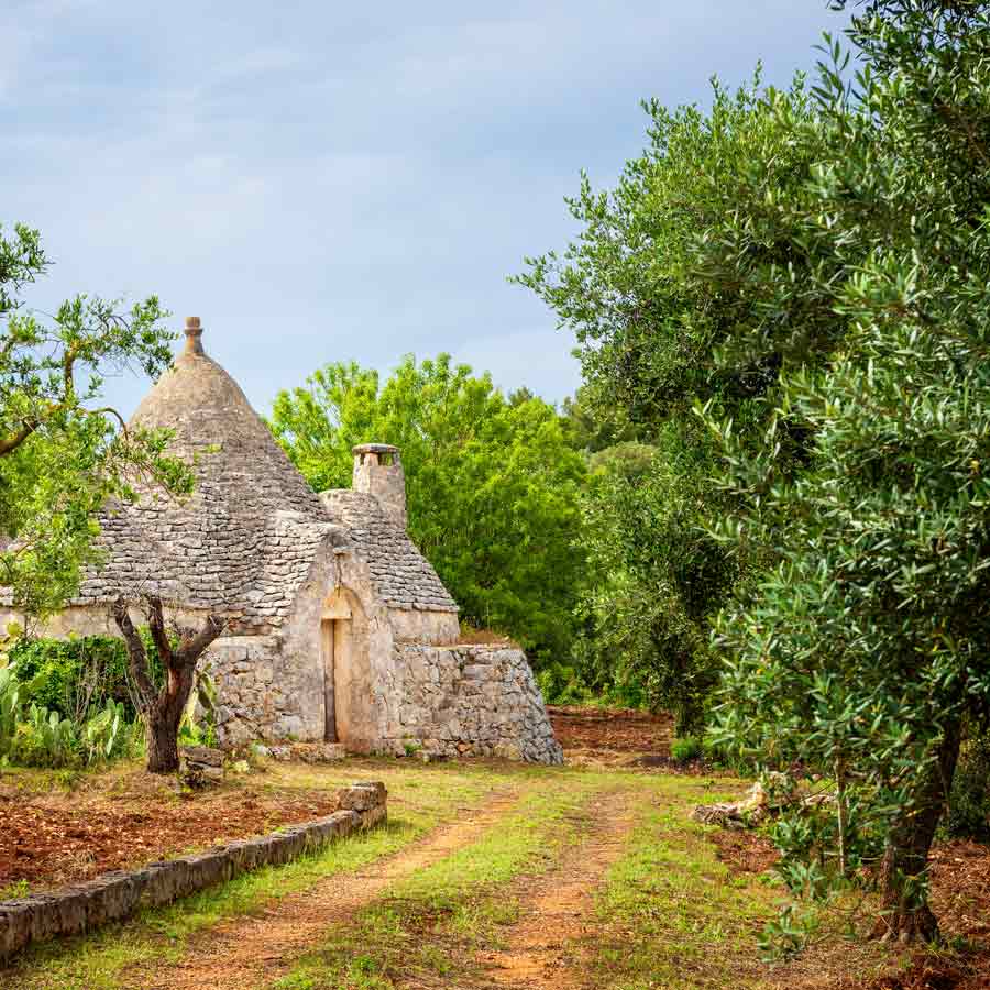 Trullo-Gebäude in Olivenhain.