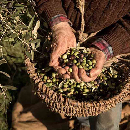 Chianti Olearia Grezzo 1 Liter ungefiltertes natives Olivenöl extra