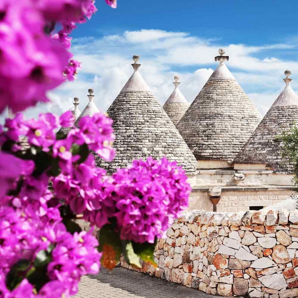 Trulli-Häuser hinter rosa Blumen.