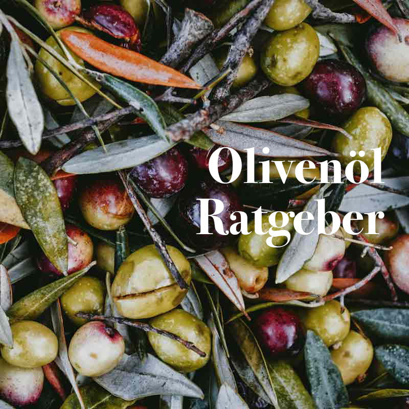 Olivenzweige mit Oliven, Text "Olivenöl Ratgeber" sichtbar.