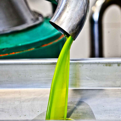 Frisch gepresstes natives Olivenöl extra in der Ölmühle