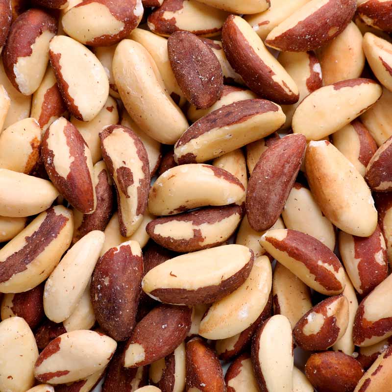 Paranüsse in Nahaufnahme, braun-weiß, ohne Verpackung oder Marke.