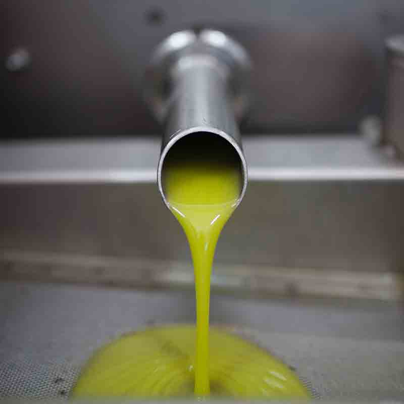 Frisch gepresstes Olivenöl fließt aus Metallrohr.