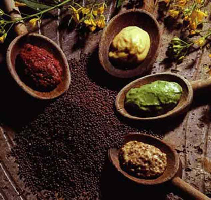 Verschiedene Gewürzpasten auf Holzlöffeln mit Senfkörnern.