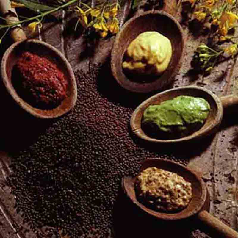 Verschiedene Gewürzpasten auf Holzlöffeln mit Senfkörnern.