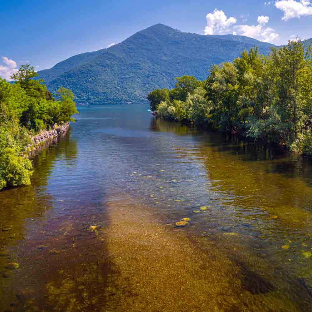 Flusslandschaft mit Bergen und Bäumen.