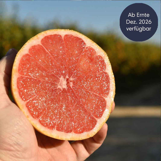 Pink Grapefruit aus Sizilien BIO