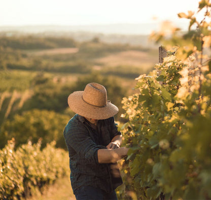 Mussini Balsam Essigzubereitung für Cocktails Amaretto 250 ml