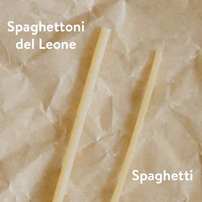 Vergleich von Spaghetti und Spaghetti del Leone. Leone Spaghetti sind dicker im Umfang.