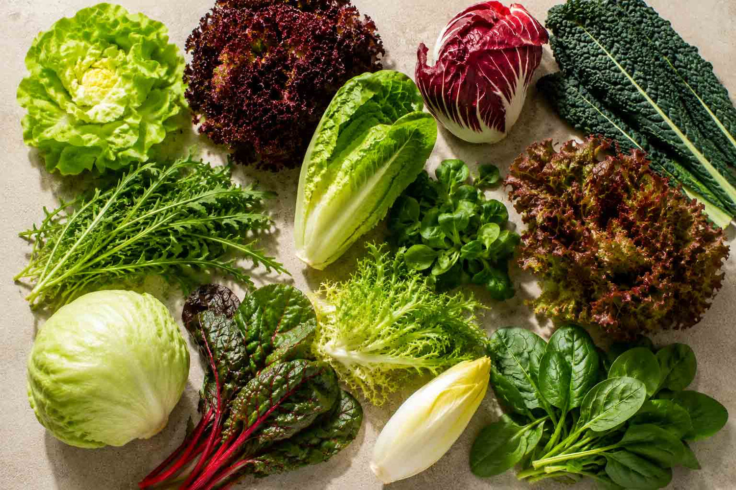 Verschiedene Salatsorten