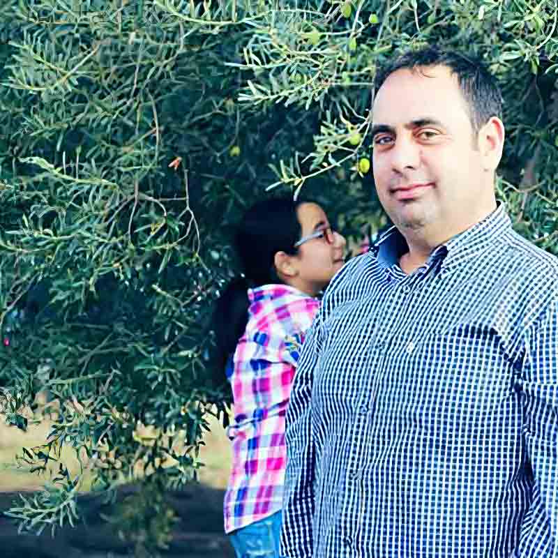 Salvatore Cutrera in seinen Hainen bei der Olivenernte.