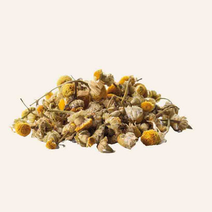 Getrocknete Kamillenblüten auf weißem Hintergrund.