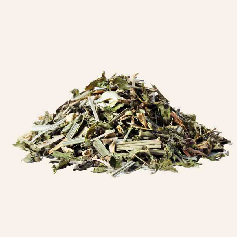 Sirocco Ginger Lemon Dream Tee lose Blätter.