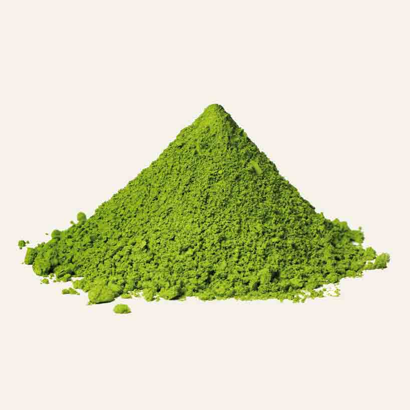 Grünes Matcha-Pulver auf Weiß.