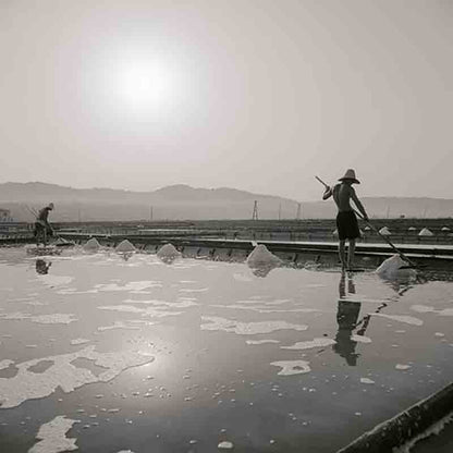 Salzernte in Saline bei Sonnenuntergang.