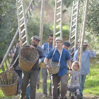 Centoze Bio Olivenöl 1 Liter - natives Olivenöl extra - Sizilien 100 % Nocellara del Belice