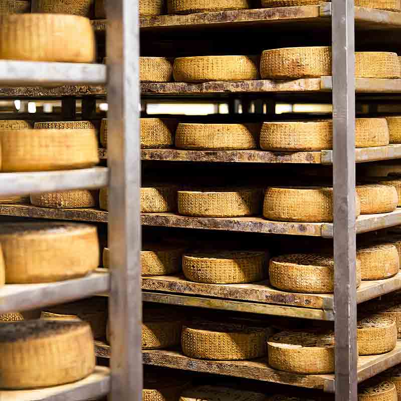 Käselaibe auf Regalen in einem Reiferaum gestapelt.