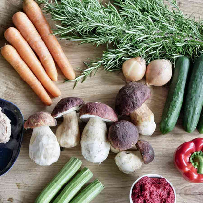 Karotten, Steinpilze, Rosmarin, Zwiebeln, Gurken, Paprika, Pastete.