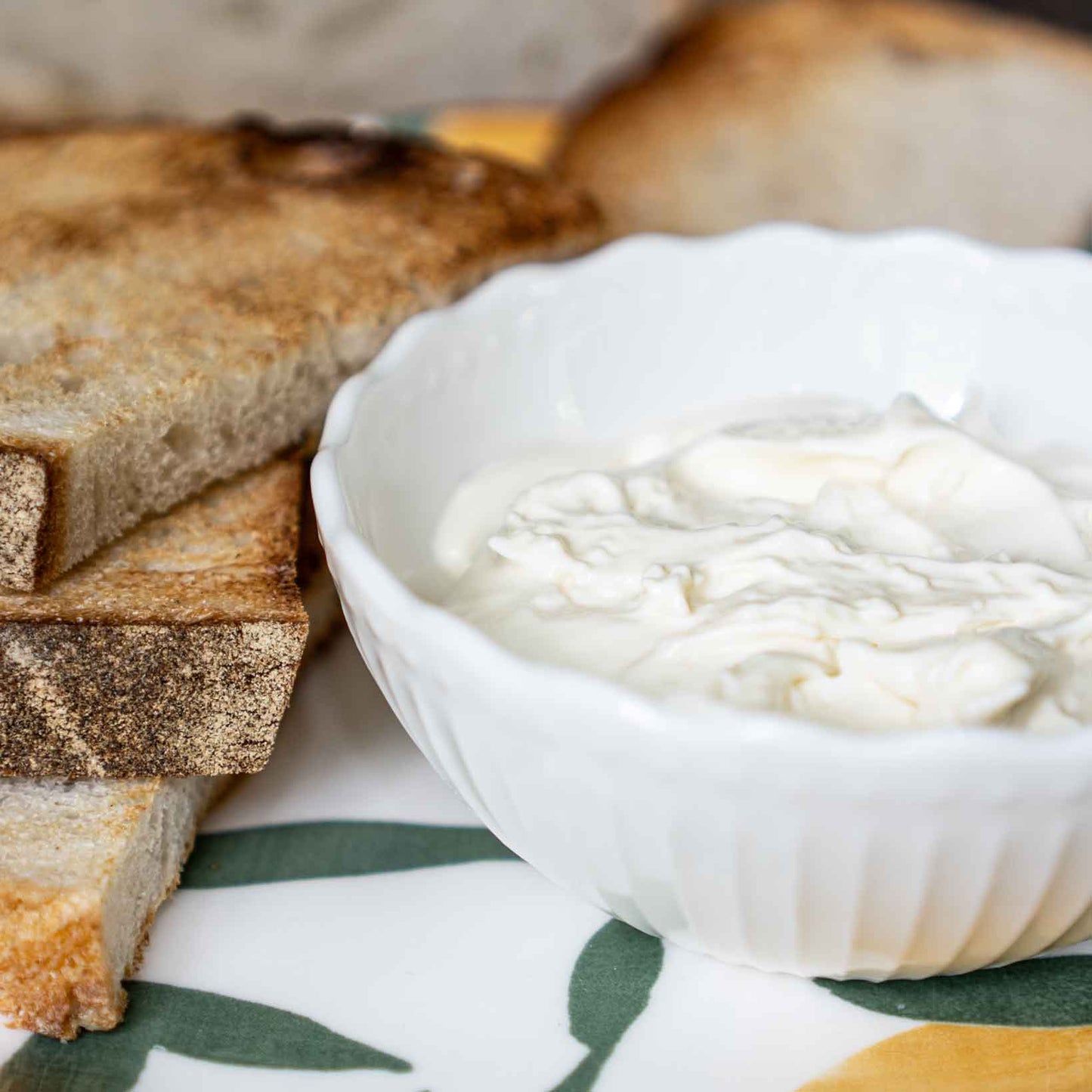 Crema di Taleggio DOP